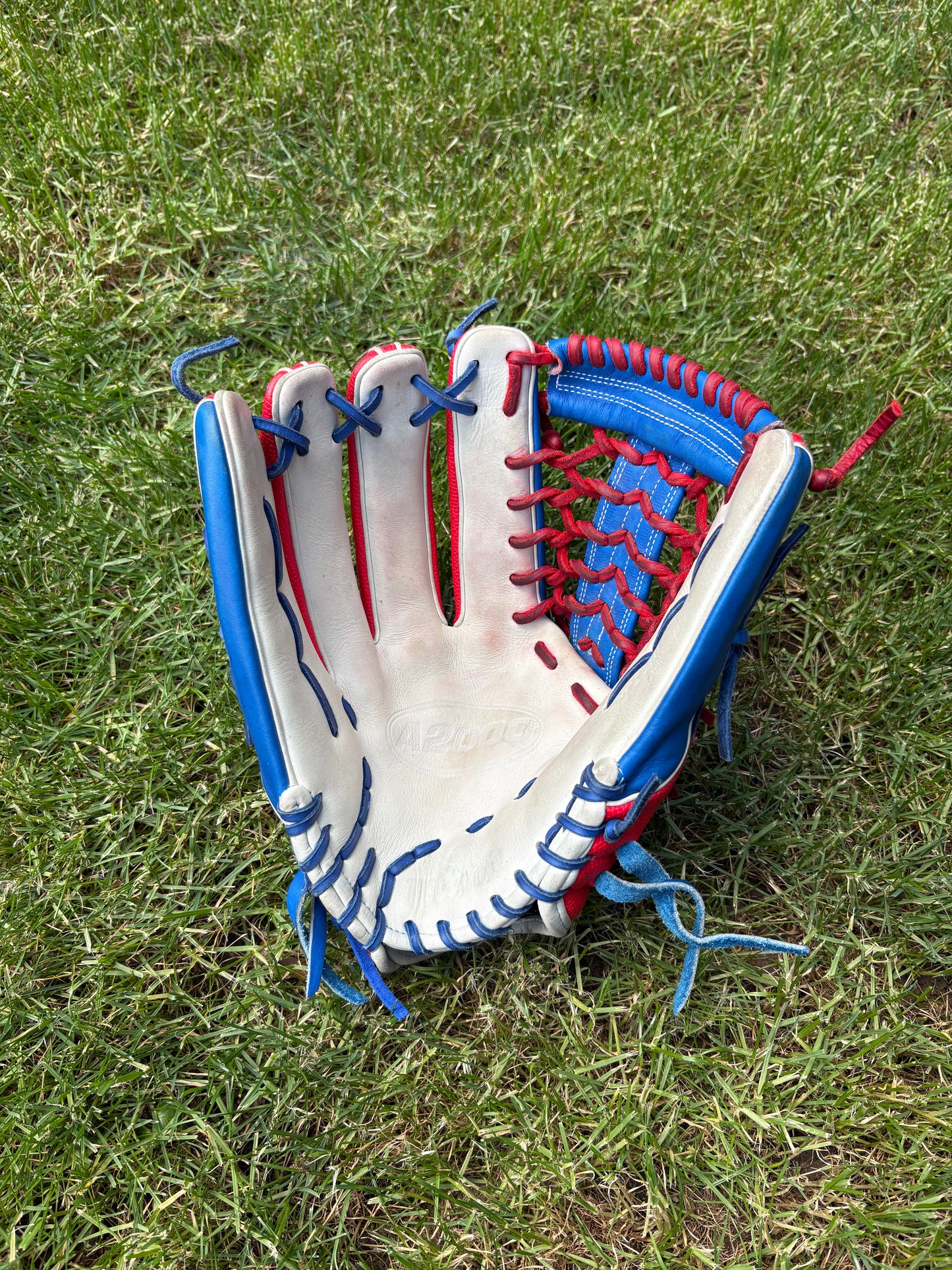 Custom Wilson A2000 12.5in T125