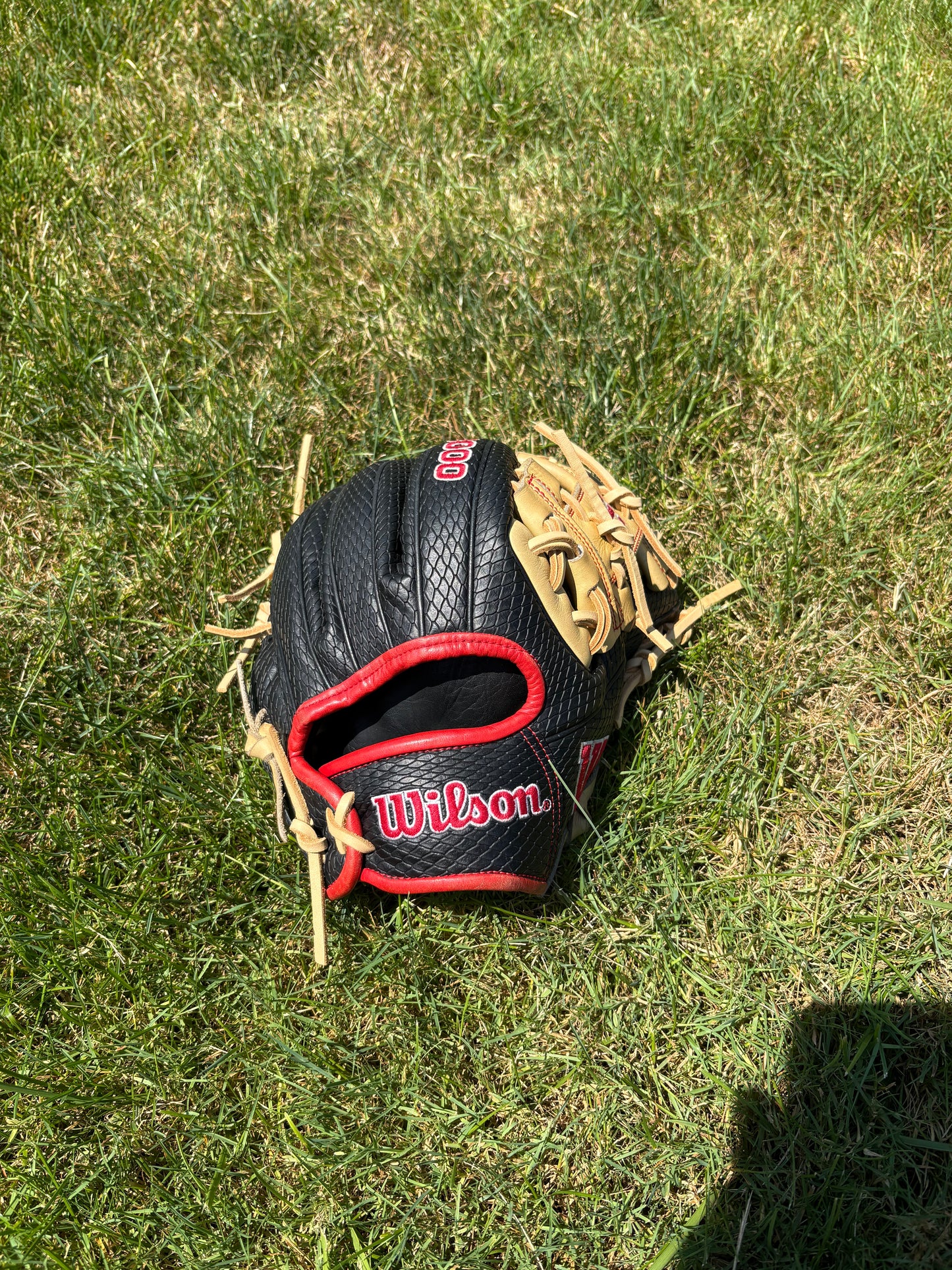 Wilson Snakeskin A2000 11.25in dp15 rht