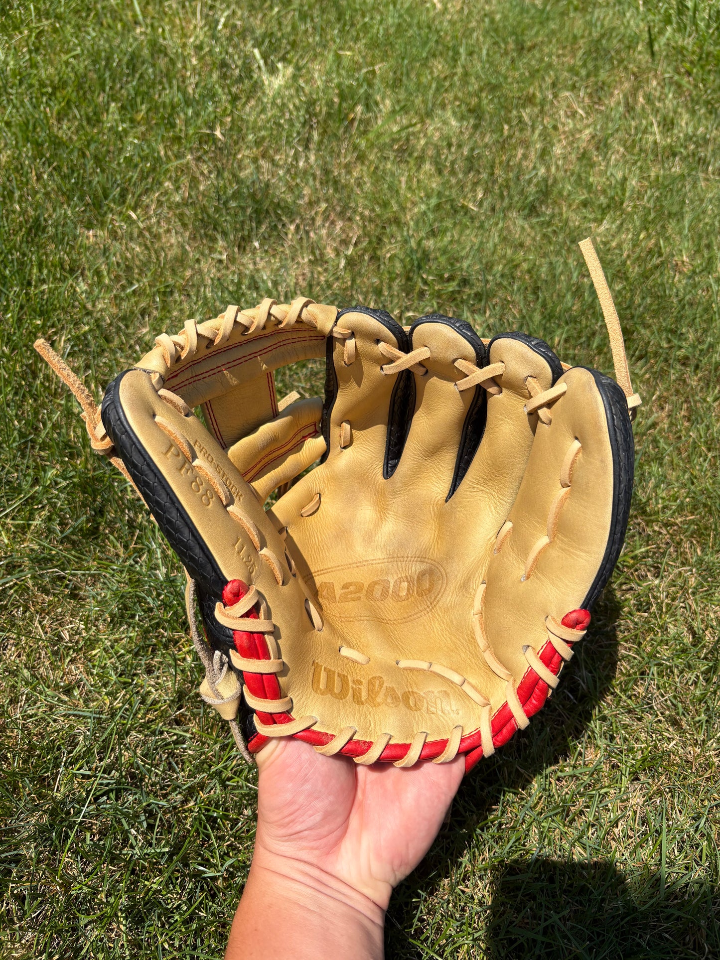 Wilson Snakeskin A2000 11.25in dp15 rht