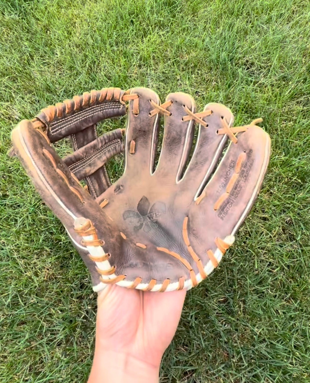Before glove restoration