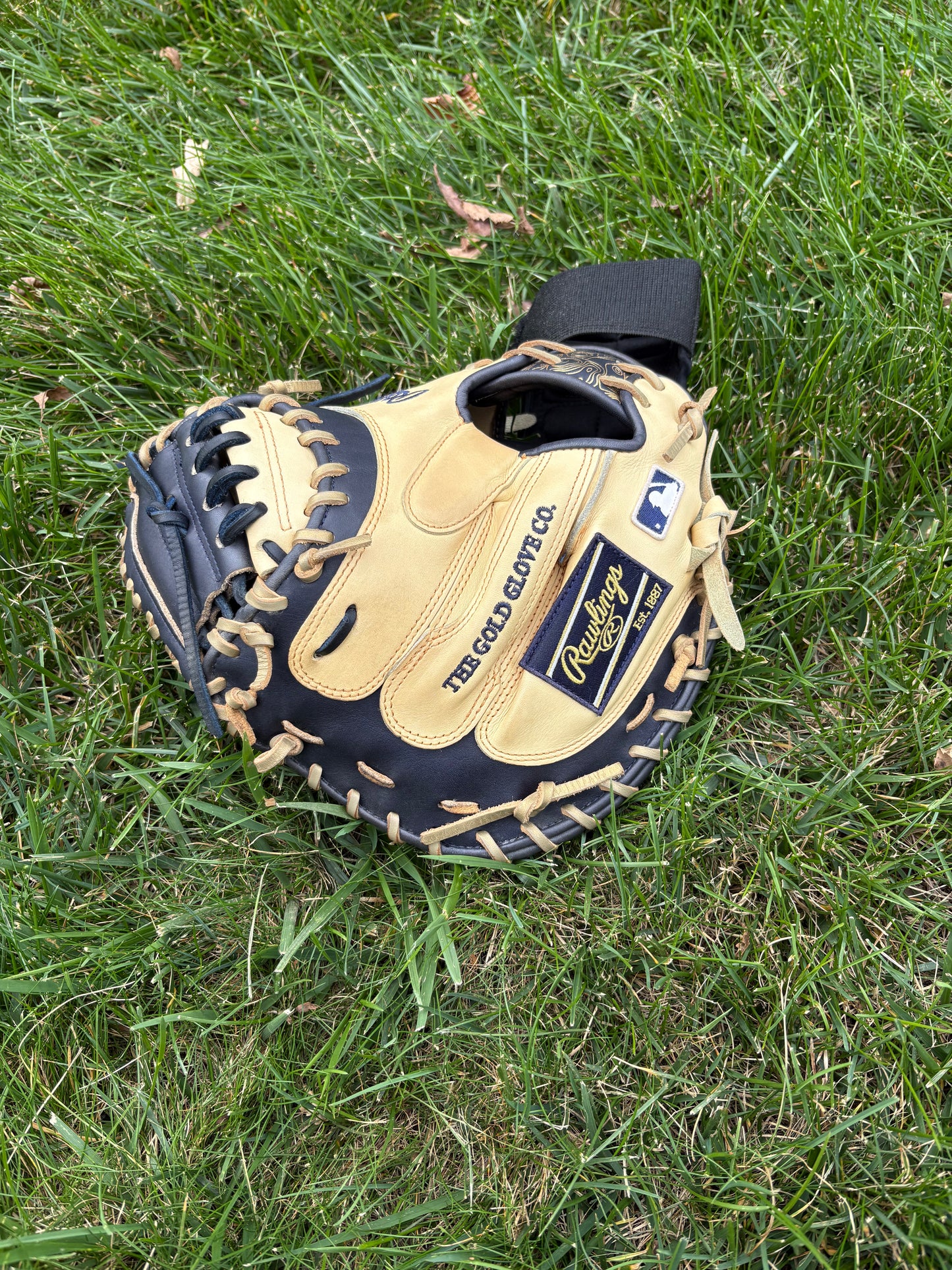 Limited Rawlings Heart of the Hide Catchers Mitt