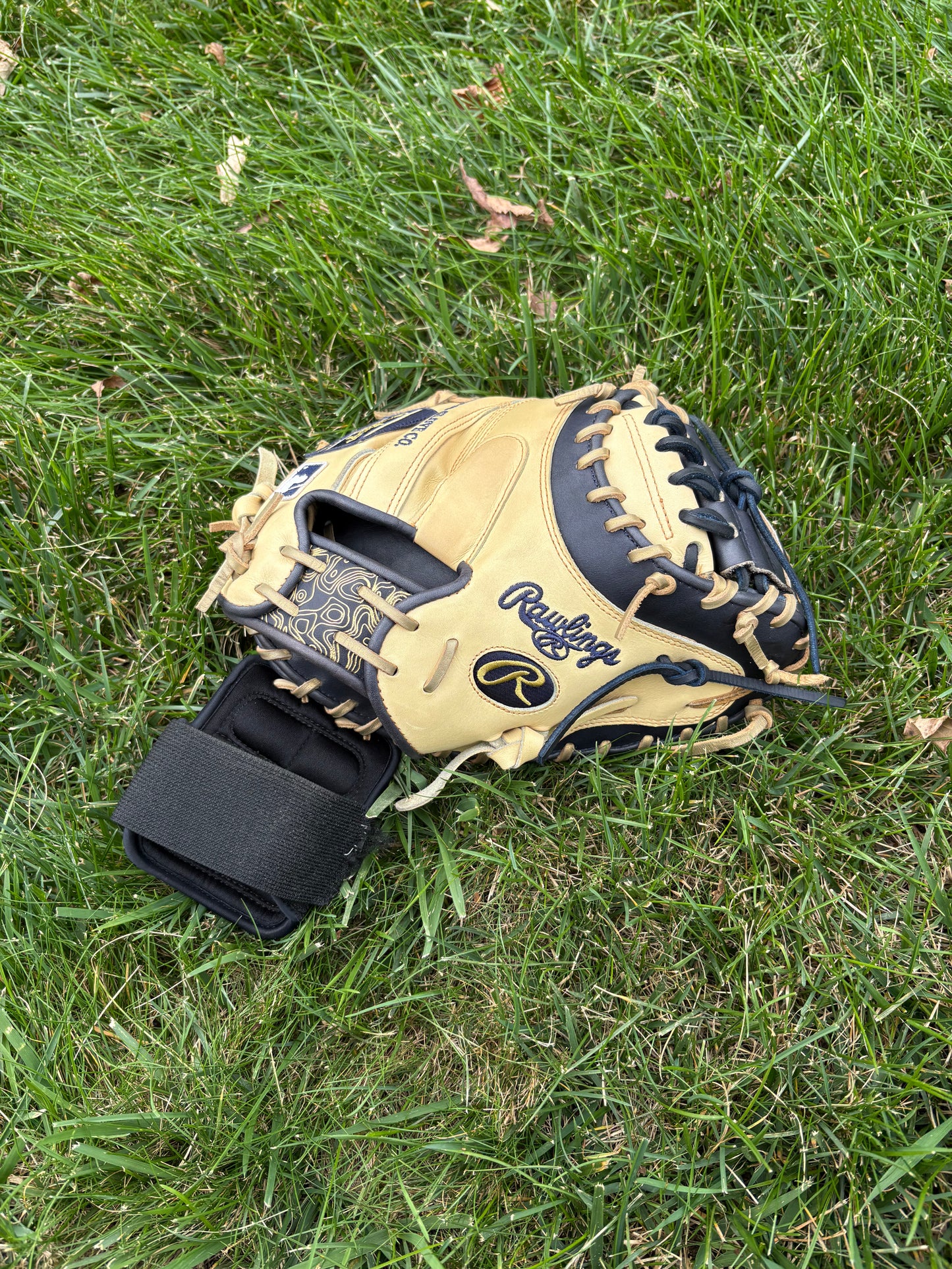 Limited Rawlings Heart of the Hide Catchers Mitt