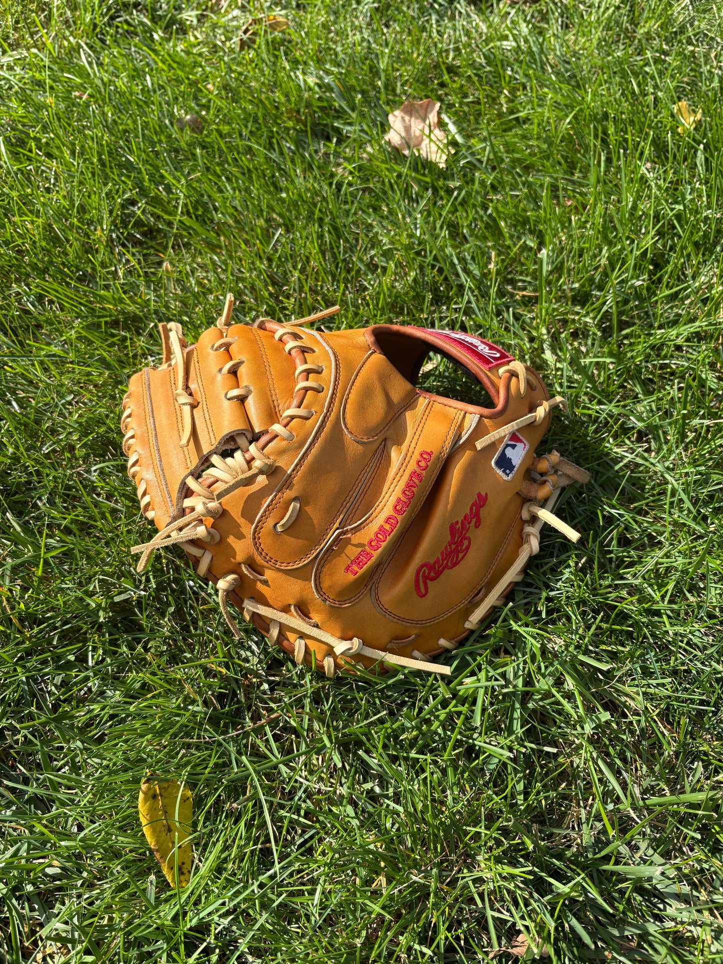 Rawlings Heart of the Hide Catchers Mitt