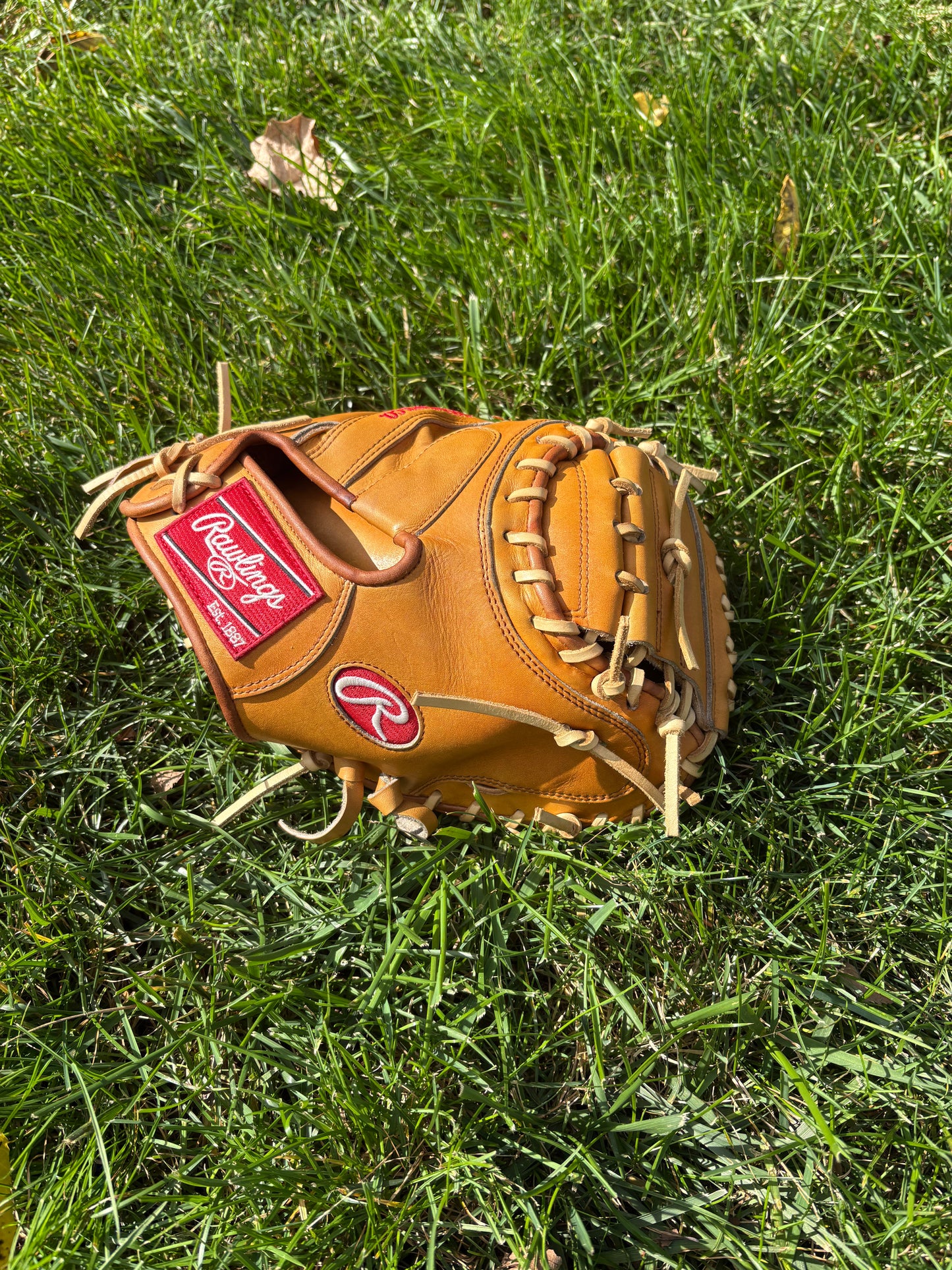 Rawlings Heart of the Hide Catchers Mitt