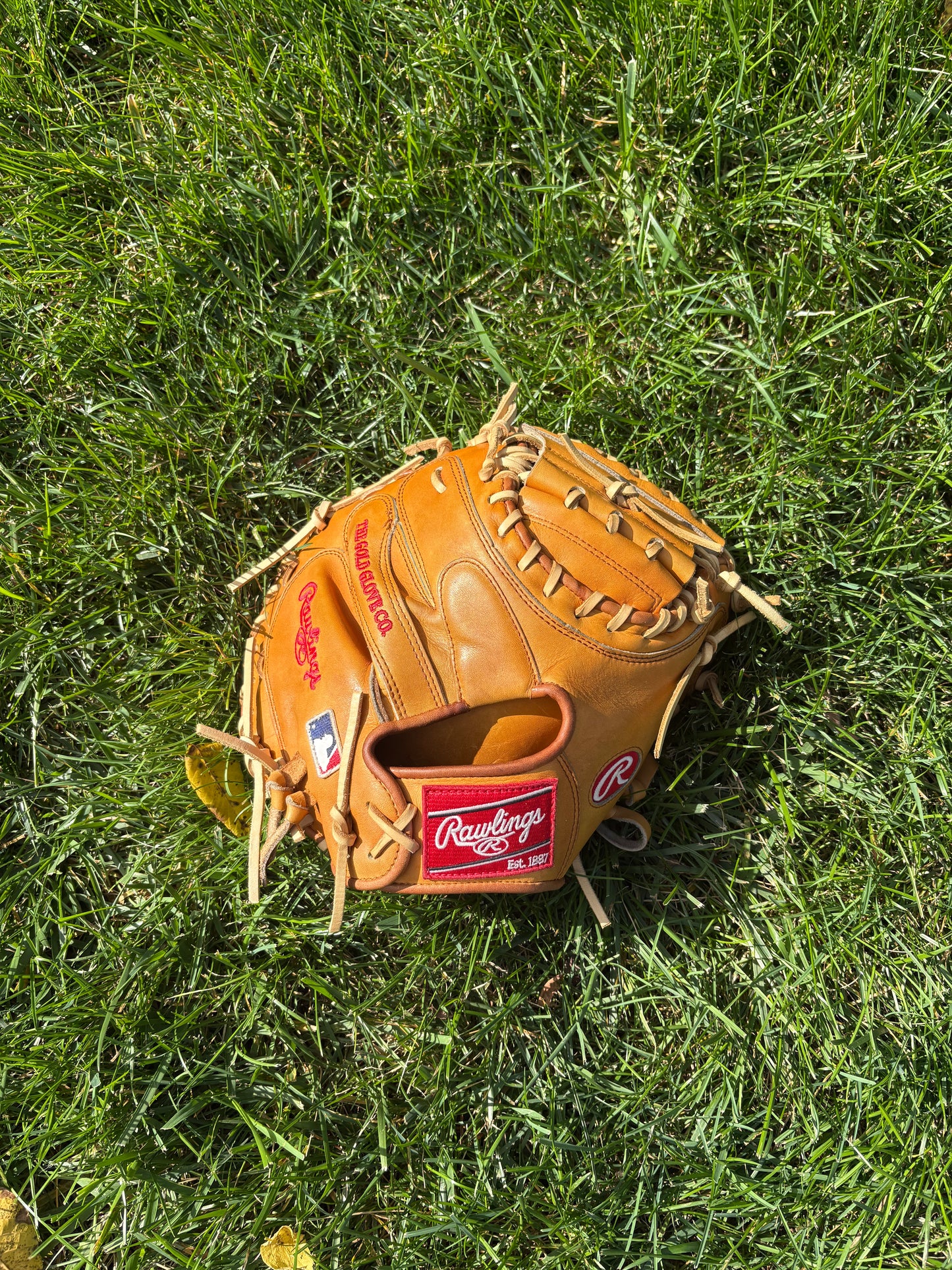 Rawlings Heart of the Hide Catchers Mitt